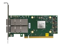 Mellanox MCX623106AS-CDAT - Adaptateur réseau - PCIe 4.0 x16 - 100 Gigabit QSFP56 x 2 - pour Edgeline e920; ProLiant DL325 Gen10, DL345 Gen10, DL360 Gen10, DL380 Gen10, XL220n Gen10 P25960-B21