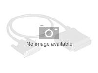 HPE RDX Cable Kit - Kit de câbles de stockage - pour ProLiant ML110 Gen11 P53491-B21